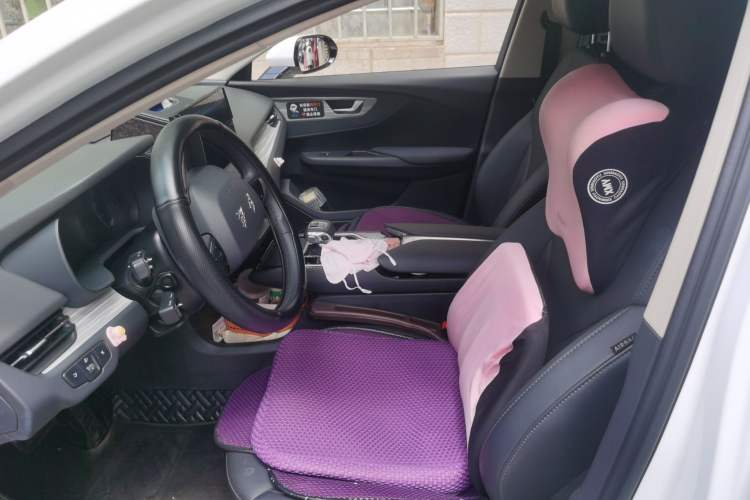 Used Hongqi E-QM5 2024 500km Range Edition Left Front Seat