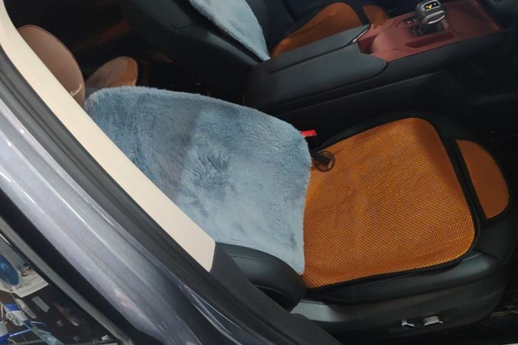Used Hongqi E-QM5 2024 610 km PLUS Right Front Seat