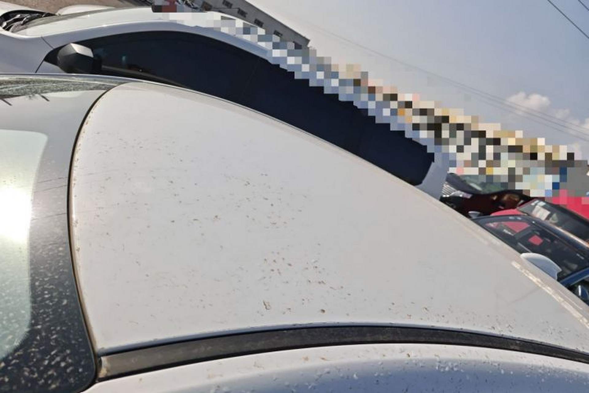 Used Hongqi E-QM5 2024 500km Range Edition Roof