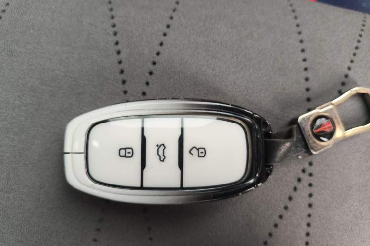 Used Hongqi E-QM5 2024 610 km PLUS Vehicle Key