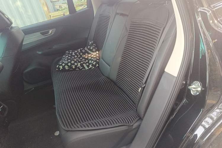 Used Hongqi E-QM5 2025 500km Range Commuter Version Left Rear Seat