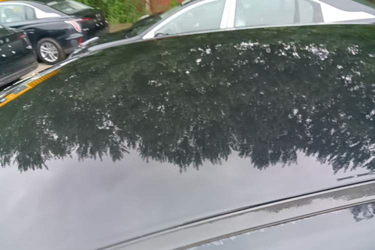 Used Hongqi E-QM5 2025 610 km PLUS Roof