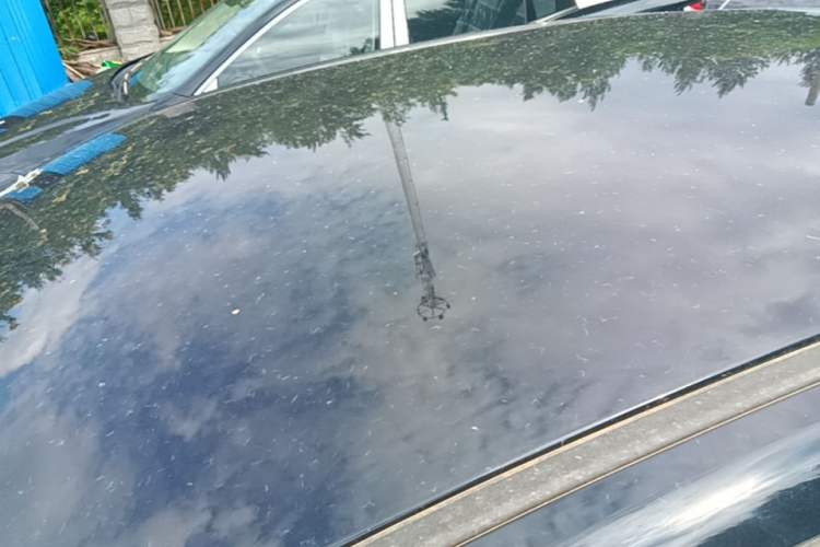 Used Hongqi E-QM5 2025 610 km PLUS Roof