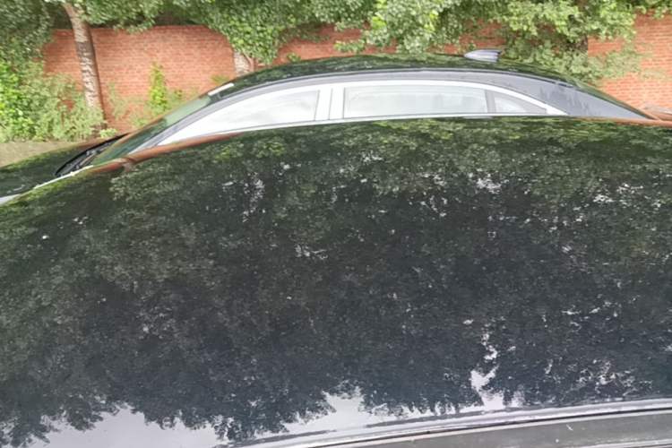 Used Hongqi E-QM5 2025 610 km PLUS Roof