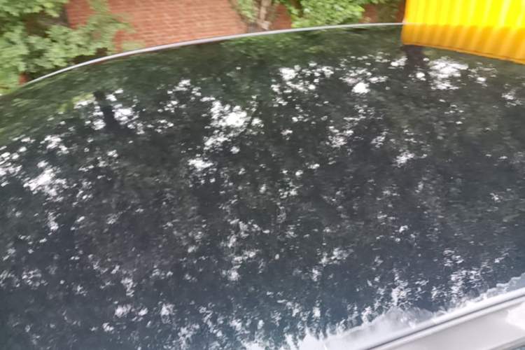Used Hongqi E-QM5 2025 610 km PLUS Roof