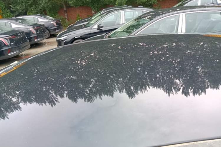 Used Hongqi E-QM5 2025 610 km PLUS Roof