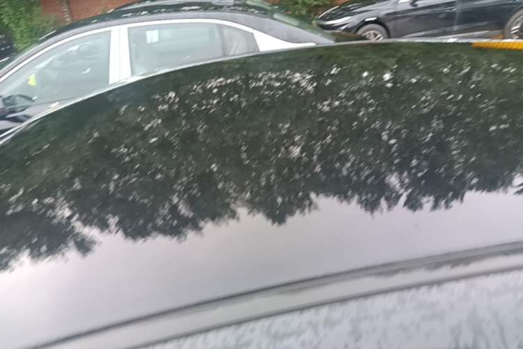 Used Hongqi E-QM5 2025 610 km PLUS Roof