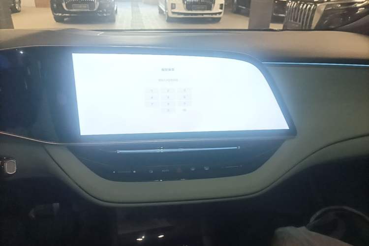 Used Hongqi EH7 2024 820 Pro Audio And AC Panel