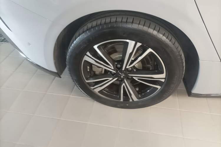 Used Hongqi EH7 2024 820 Pro Exterior 2
