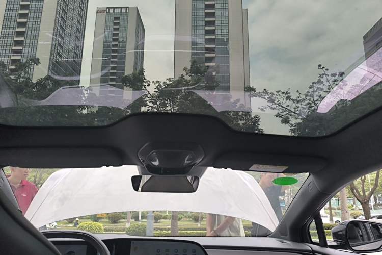 Used Hongqi EH7 2024 760 Pro+ Four-Wheel Drive Version Headliner