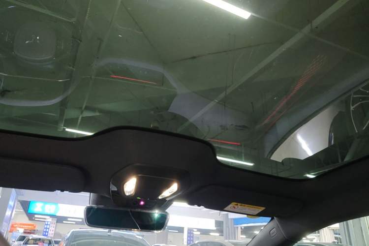 Used Hongqi EH7 2024 760 Pro+ Four-Wheel Drive Version Headliner