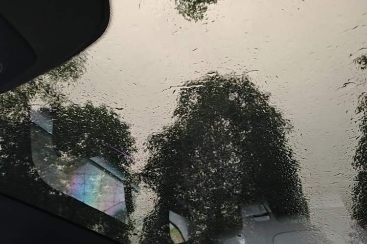 Used Hongqi EH7 2024 690 Pro Headliner