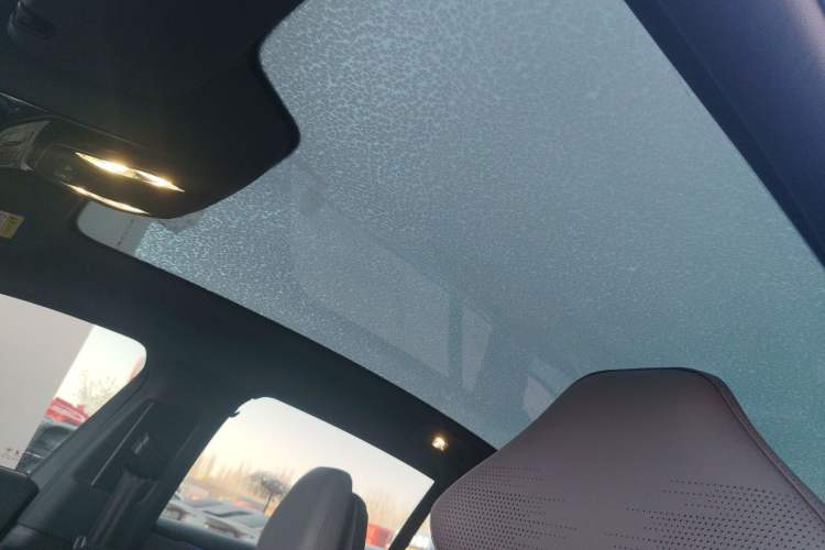 Used Hongqi EH7 2024 760 Pro+ Four-Wheel Drive Version Headliner