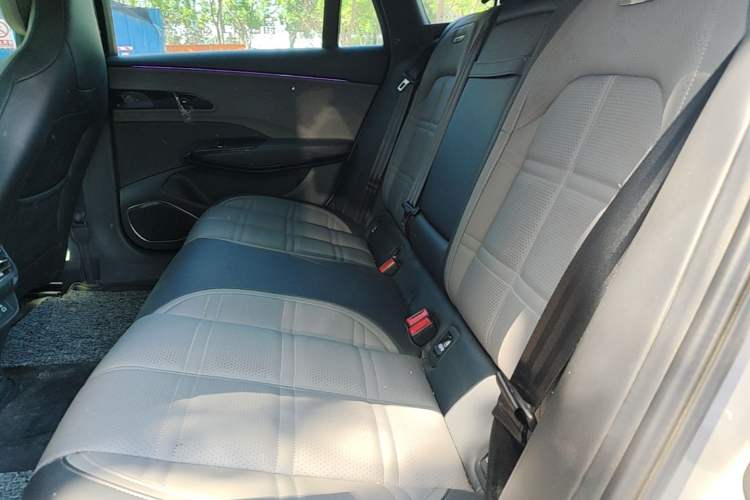 Used Hongqi EH7 2024 690 Pro Left Rear Seat
