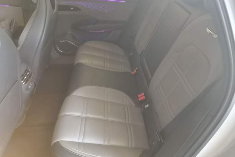 Used Hongqi EH7 2024 760 Pro+ Four-Wheel Drive Version Left Rear Seat
