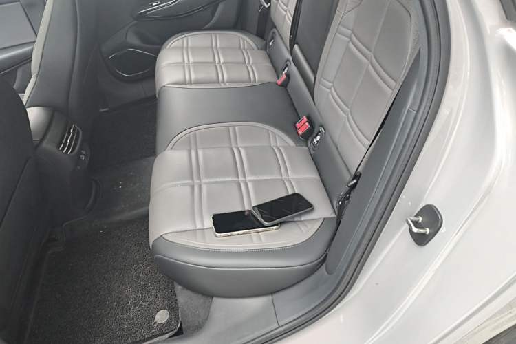 Used Hongqi EH7 2024 760 Pro+ Four-Wheel Drive Version Left Rear Seat
