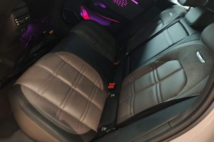 Used Hongqi EH7 2024 760 Pro+ Four-Wheel Drive Version Left Rear Seat