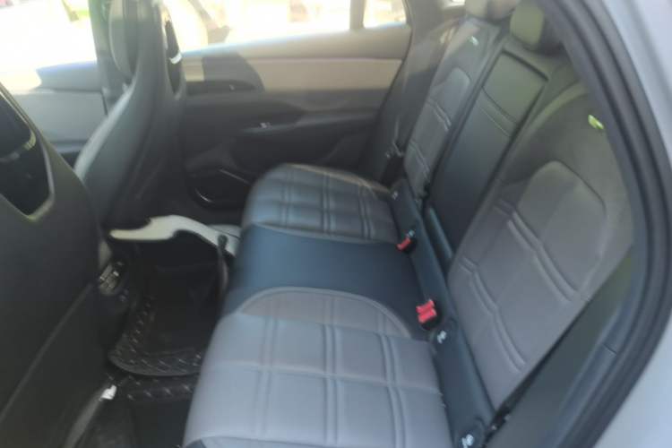 Used Hongqi EH7 2024 820 Pro Left Rear Seat