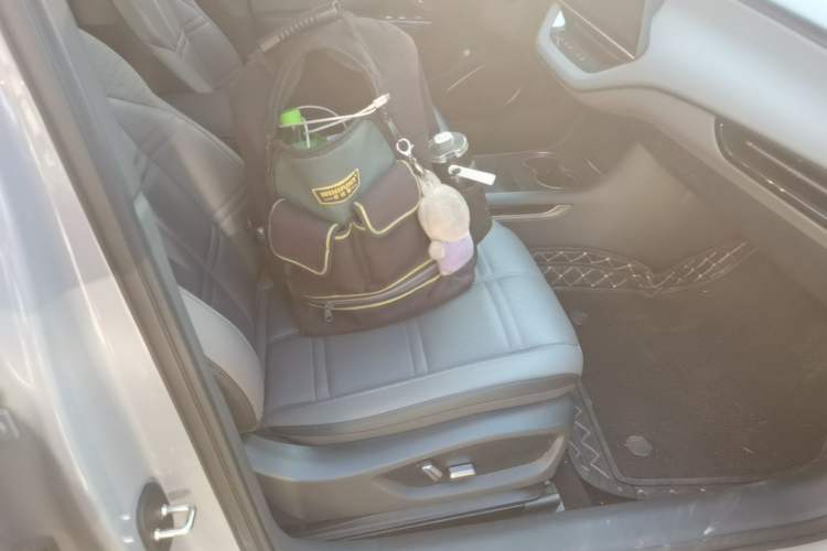 Used Hongqi EH7 2024 820 Pro Right Front Seat