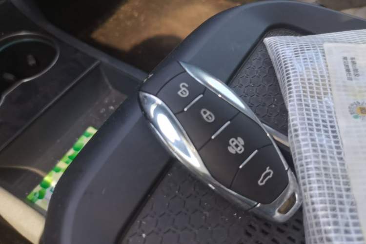 Used Hongqi EH7 2024 760 Pro+ Four-Wheel Drive Version Vehicle Key