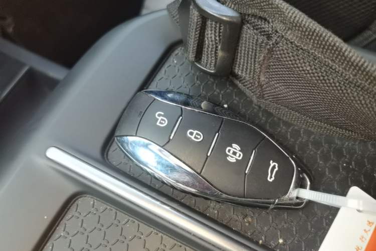 Used Hongqi EH7 2024 820 Pro Vehicle Key