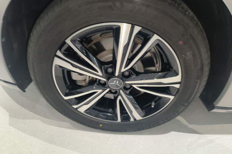 Used Hongqi EH7 2024 690 Pro Exterior 5