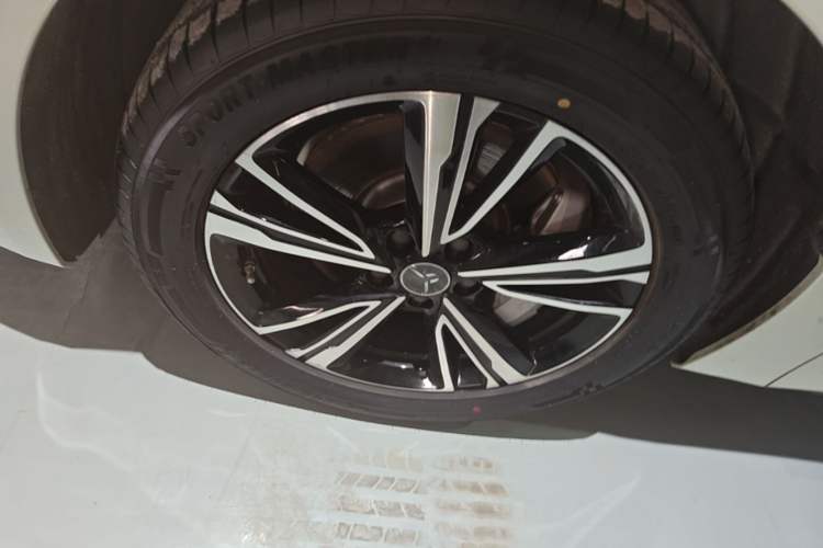 Used Hongqi EH7 2024 820 Pro Exterior 4