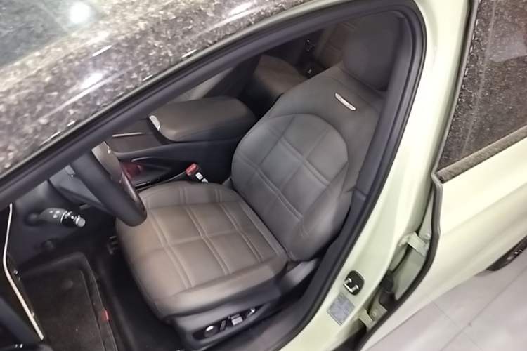 Used Hongqi EH7 2024 760 Pro+ Four-Wheel Drive Version Left Front Seat