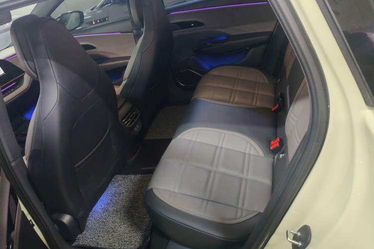 Used Hongqi EH7 2024 760 Pro+ Four-Wheel Drive Version Left Rear Seat