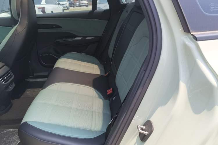 Used Hongqi EH7 2024 760 Pro+ Four-Wheel Drive Version Left Rear Seat