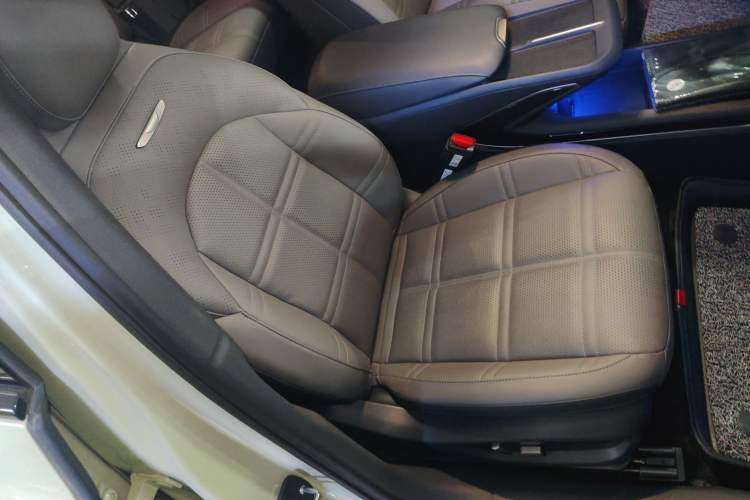 Used Hongqi EH7 2024 760 Pro+ Four-Wheel Drive Version Right Front Seat