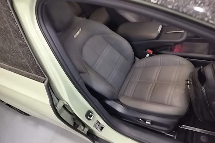 Used Hongqi EH7 2024 760 Pro+ Four-Wheel Drive Version Right Front Seat