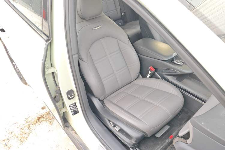 Used Hongqi EH7 2024 690 Pro Right Front Seat