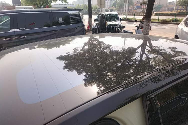 Used Hongqi EH7 2024 820 Pro Roof