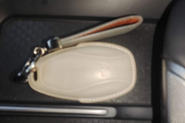 Used Hongqi EH7 2024 820 Pro Vehicle Key