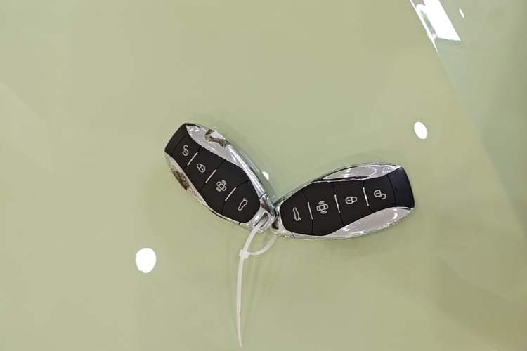 Used Hongqi EH7 2024 760 Pro+ Four-Wheel Drive Version Vehicle Key