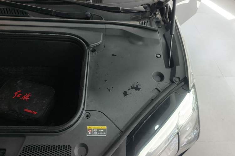 Used Hongqi EH7 2024 760 Pro+ Four-Wheel Drive Version Engine Bay Left