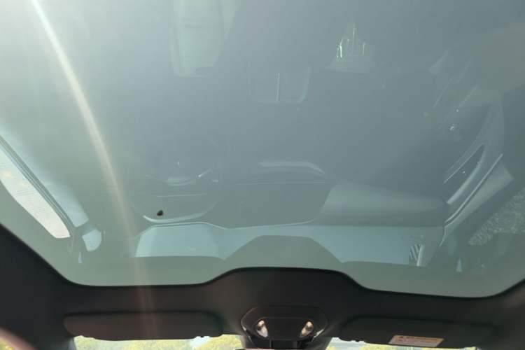 Used Hongqi EH7 2024 760 Pro+ Four-Wheel Drive Version Headliner