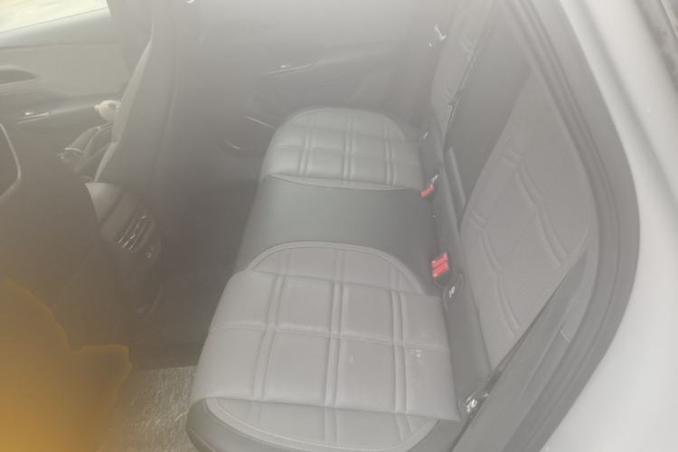 Used Hongqi EH7 2024 760 Pro+ Four-Wheel Drive Version Left Rear Seat