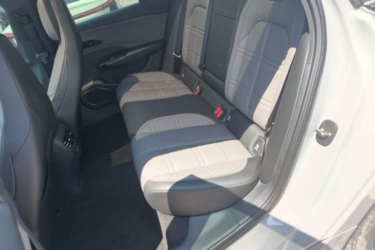 Used Hongqi EH7 2024 760 Pro+ Four-Wheel Drive Version Left Rear Seat