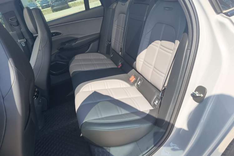 Used Hongqi EH7 2024 760 Pro+ Four-Wheel Drive Version Left Rear Seat