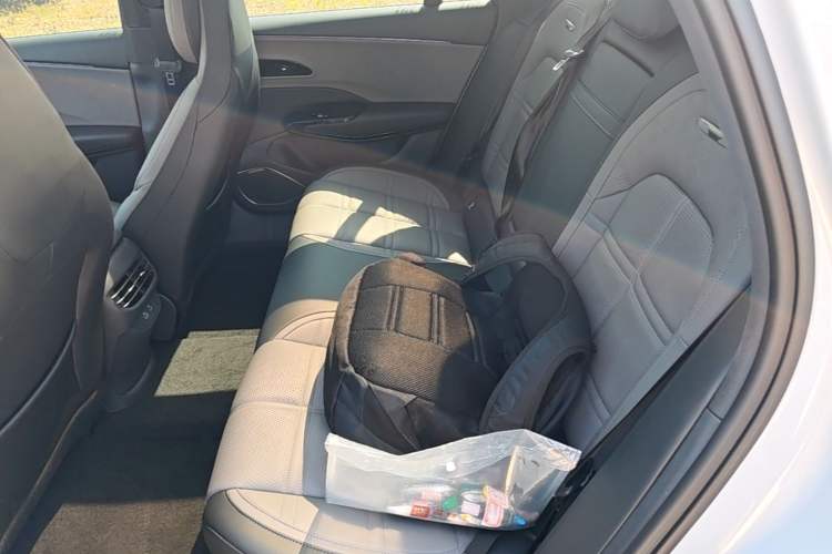 Used Hongqi EH7 2024 760 Pro+ Four-Wheel Drive Version Left Rear Seat