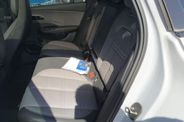 Used Hongqi EH7 2024 760 Pro+ Four-Wheel Drive Version Left Rear Seat