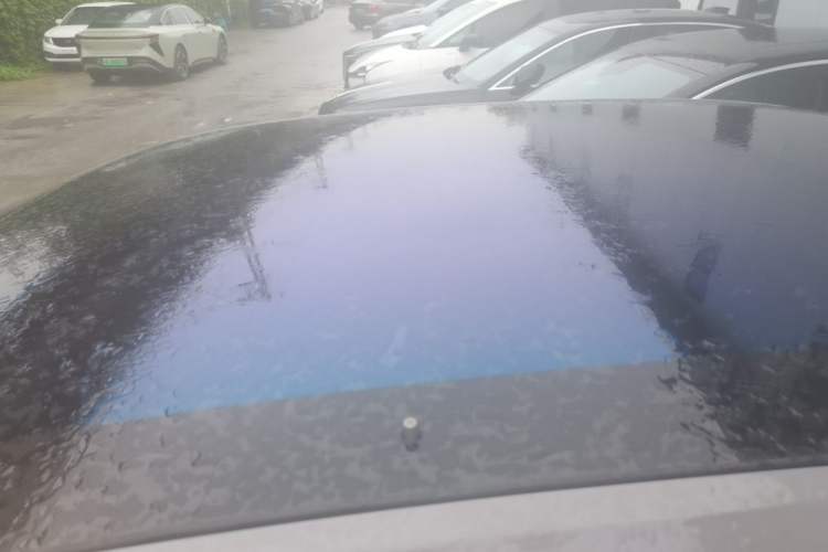 Used Hongqi EH7 2024 760 Pro+ Four-Wheel Drive Version Roof