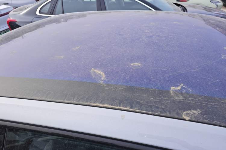 Used Hongqi EH7 2024 690 Pro Roof