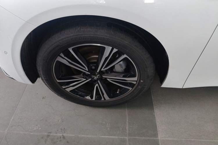 Used Hongqi EH7 2024 690 Pro Exterior 4