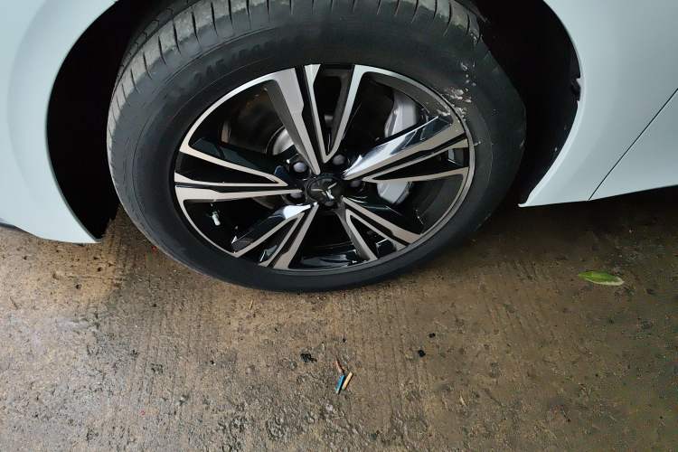 Used Hongqi EH7 2024 690 Pro Exterior 4