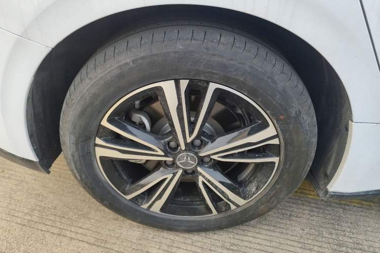 Used Hongqi EH7 2024 690 Pro Exterior 8
