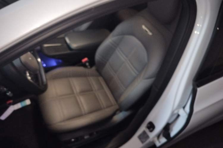 Used Hongqi EH7 2024 690 Pro Left Front Seat