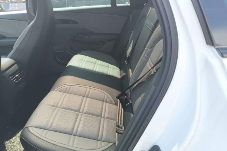 Used Hongqi EH7 2024 760 Pro+ Four-Wheel Drive Version Left Rear Seat